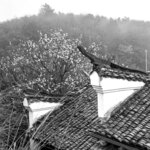 _KKB7968bw