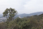 P1100626
