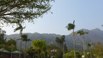 P1100685