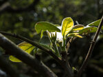 P1100998