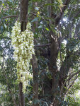 P1110010
