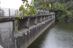 P1110402
