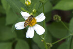 P1110792