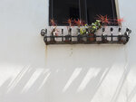 P1130061
