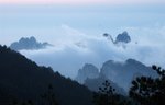 _DSC0192