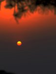 _DSC0202