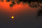_DSC0203