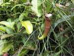P1130120