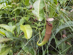 P1130121