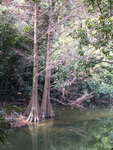 P1140074