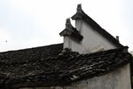 _DSCb0121