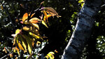 P1140250