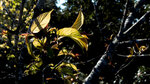 P1140251