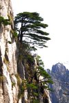 _DSCb0054