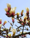 _DSCb0066