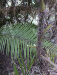 P1160382