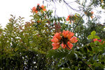 P1170084