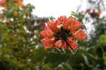 P1170085