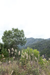 P1170172