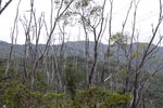 P1170176