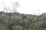 P1170180