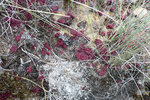 P1170204