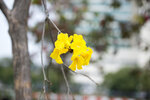 _KKB4572