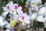 _KKB4581