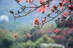 _KKB4616