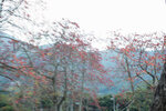 _KKB4633