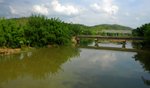 _DSC0041