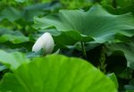 _DSC0074