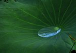 _DSC0075