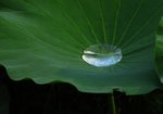 _DSC0076
