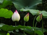 _DSC0077
