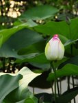 _DSC0088