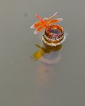 _DSC0090