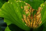 _DSC0095