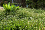 P1180057