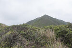 P1180282
