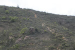 P1180717
