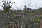 P1180718