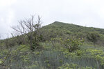 P1180780