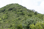 P1180867