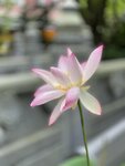 IMG_2725
