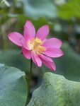 IMG_2726