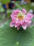 IMG_2733