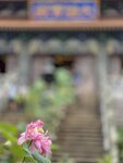 IMG_2734