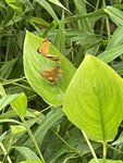 IMG_3182