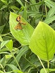 IMG_3183